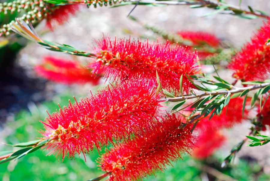 ИТ-игра «Что? Где? Когда?». Разбор вопросов - 5 image