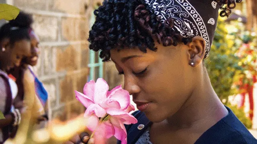 Эпопея по созданию робота с нюхом собаки - 12 Эпопея по созданию робота с нюхом собаки - 12