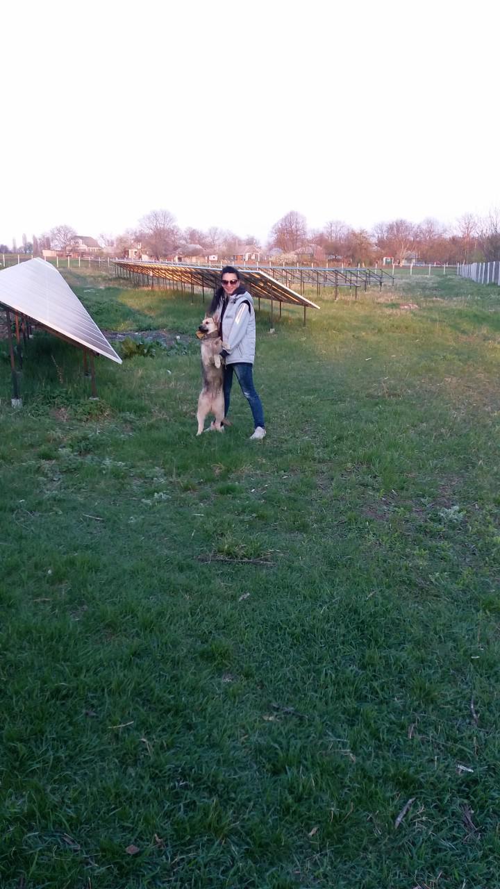 Зарабатываем на солнечной энергии или пассивный доход в 25% годовых, практический опыт. Часть 2 - 24 Зарабатываем на солнечной энергии или пассивный доход в 25% годовых, практический опыт. Часть 2 - 24