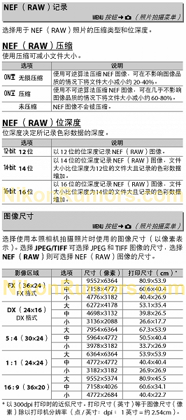 Утечка подтверждает, что разрешение камеры Nikon Z8 равно 60 Мп