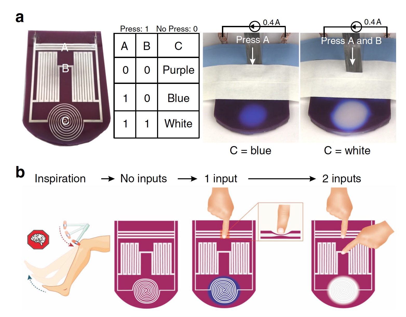 Живое разноцветное желе: принятие решений на уровне материала без участия центрального процессора - 7 Живое разноцветное желе: принятие решений на уровне материала без участия центрального процессора - 7