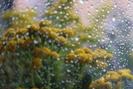 Новая статья: Обзор камеры Canon PowerShot G5 X Mark II: зачем нужны «мыльницы» в наше время? Новая статья: Обзор камеры Canon PowerShot G5 X Mark II: зачем нужны «мыльницы» в наше время?