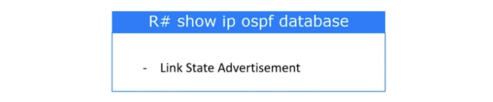 Тренинг Cisco 200-125 CCNA v3.0. День 46. Проверка работы OSPF - 14