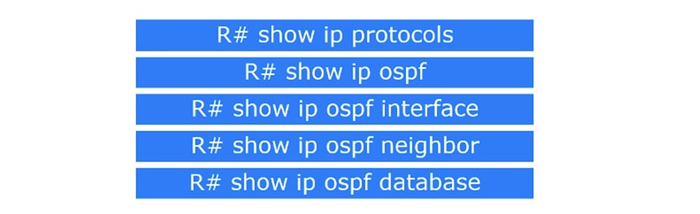 Тренинг Cisco 200-125 CCNA v3.0. День 46. Проверка работы OSPF - 2