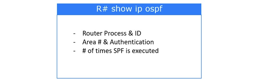 Тренинг Cisco 200-125 CCNA v3.0. День 46. Проверка работы OSPF - 7