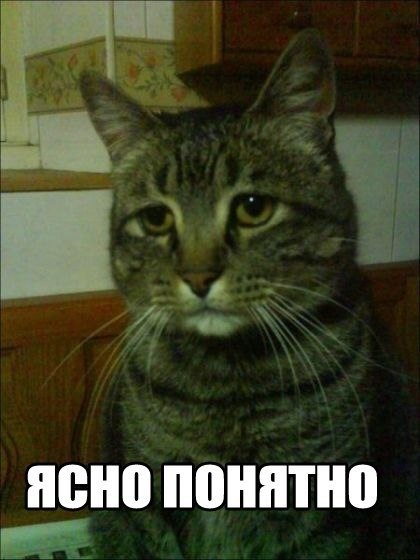 Каково разрешение человеческого глаза (или сколько мегапикселей мы видим в каждый отдельный момент времени) - 3 image