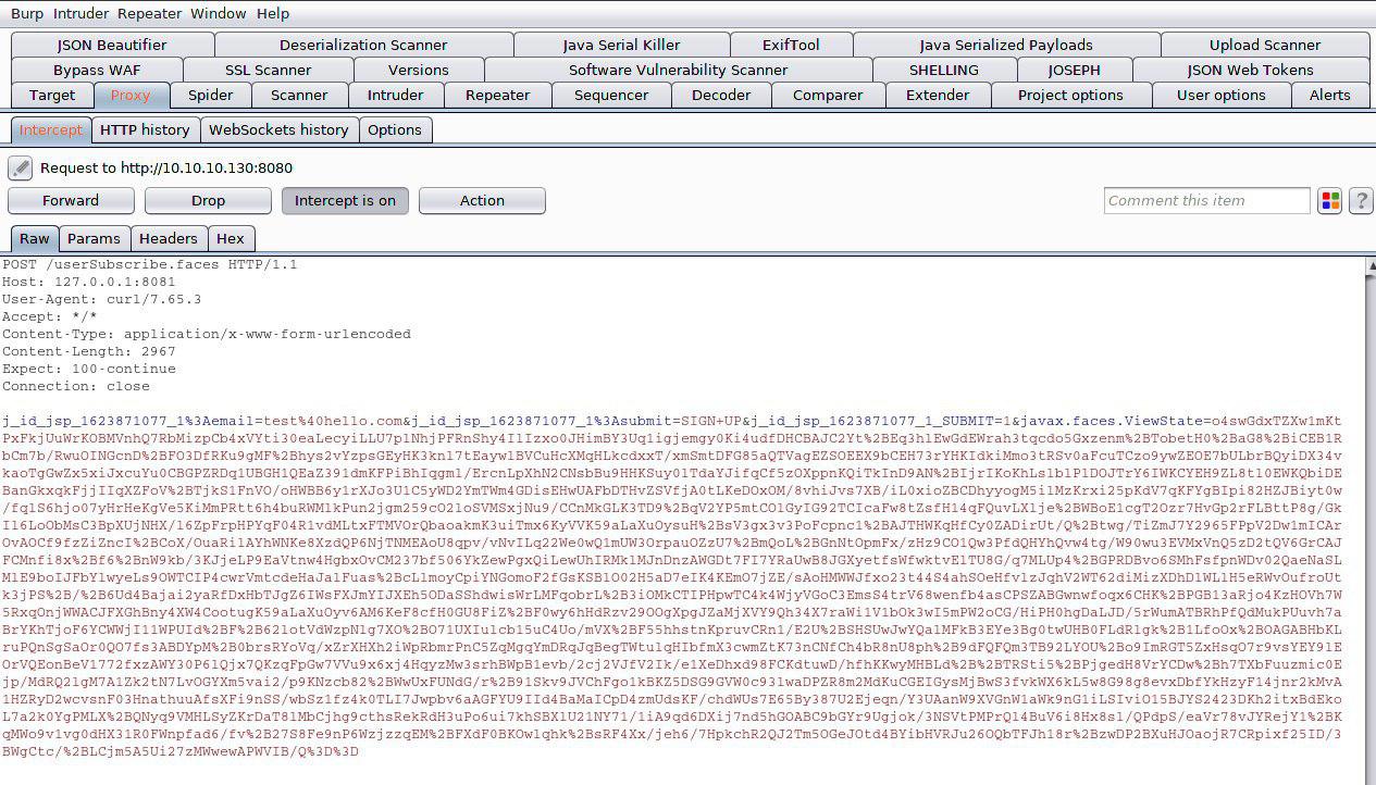 Apache, ViewState&Deserialisation - 10