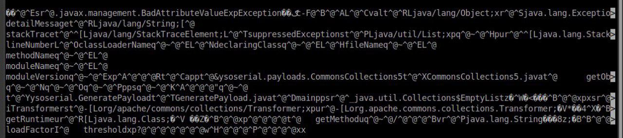 Apache, ViewState&Deserialisation - 9