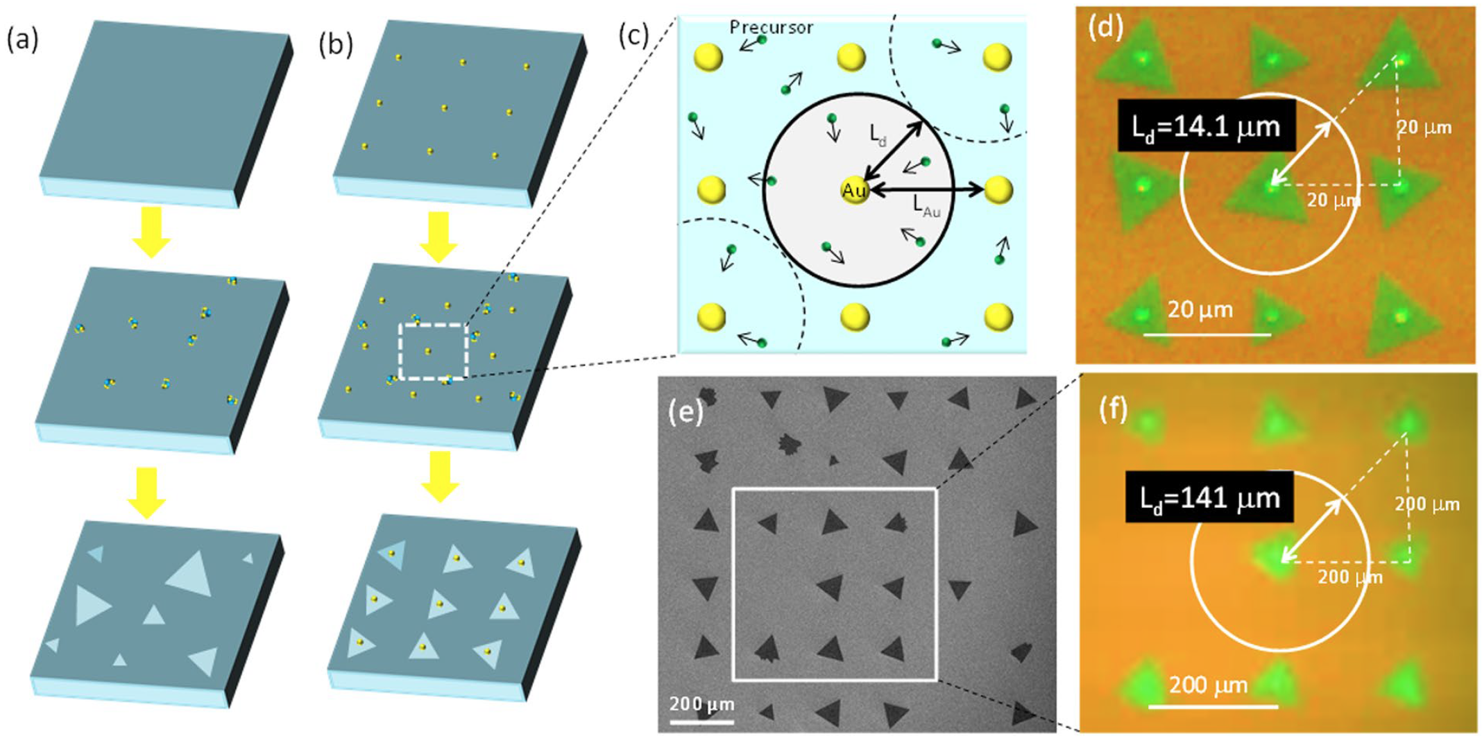 Дихалькогениды переходных металлов: раскрытие секретов динамики роста кристаллов WS2 - 2 Дихалькогениды переходных металлов: раскрытие секретов динамики роста кристаллов WS2 - 2