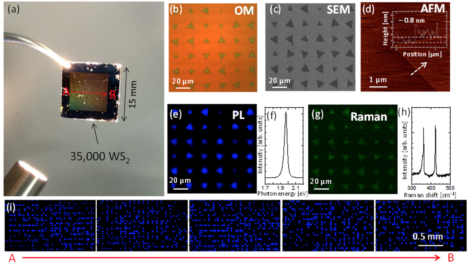 Дихалькогениды переходных металлов: раскрытие секретов динамики роста кристаллов WS2 - 6 Дихалькогениды переходных металлов: раскрытие секретов динамики роста кристаллов WS2 - 6
