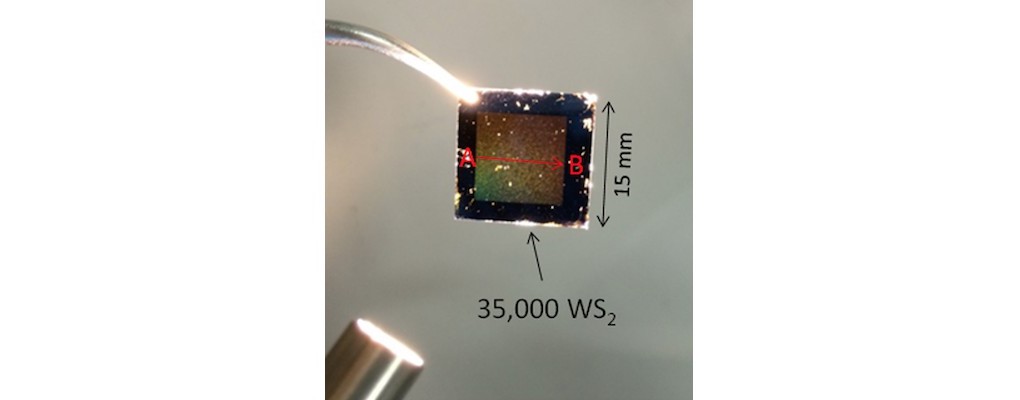 Дихалькогениды переходных металлов: раскрытие секретов динамики роста кристаллов WS2 - 1 Дихалькогениды переходных металлов: раскрытие секретов динамики роста кристаллов WS2 - 1