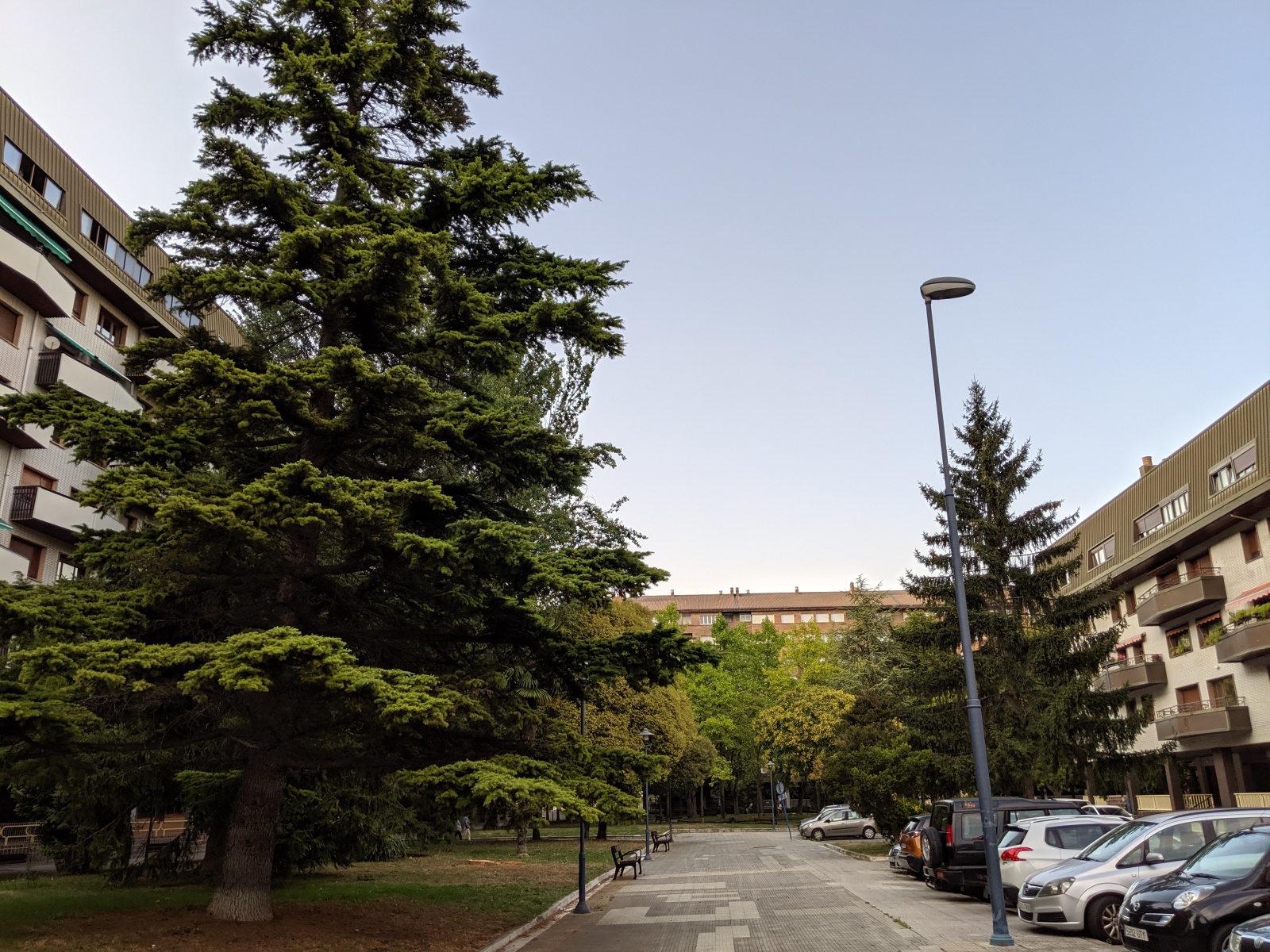 Опыт участия в программе F2P Campus - 10 Опыт участия в программе F2P Campus - 10