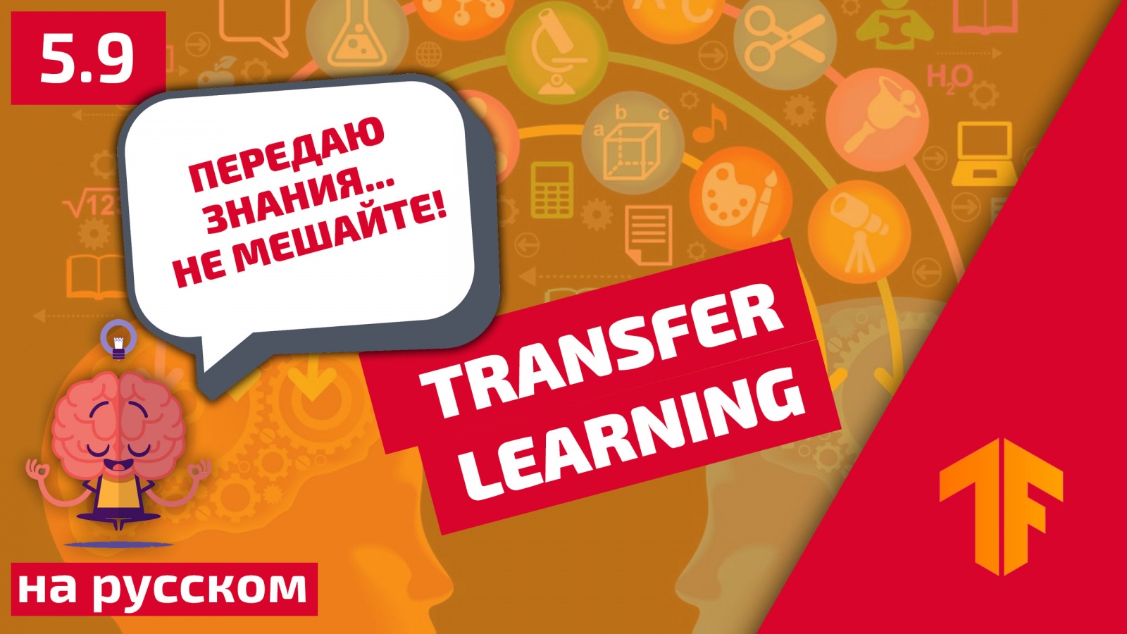 Погружение в свёрточные нейронные сети: передача обучения (transfer learning) - 1 Погружение в свёрточные нейронные сети: передача обучения (transfer learning) - 1