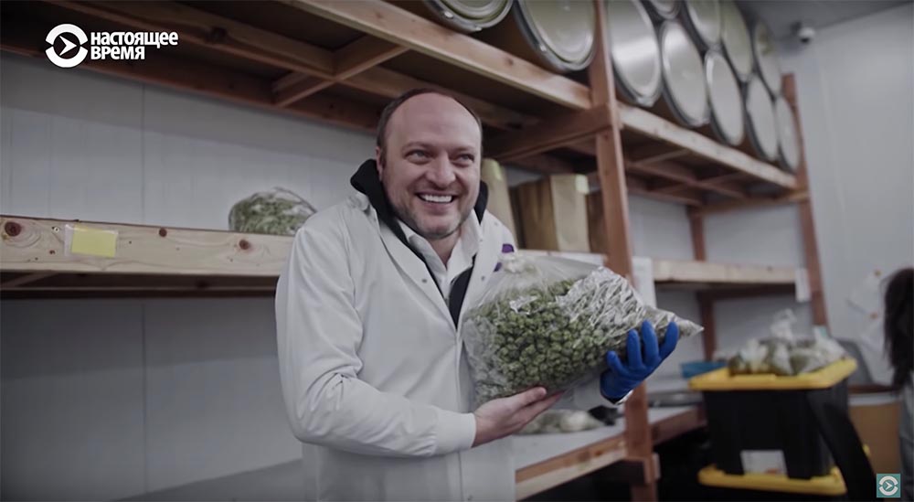 Холивар. История рунета. Часть 2. Контркультура: пАдонки, марихуана и Кремль - 17 Холивар. История рунета. Часть 2. Контркультура: пАдонки, марихуана и Кремль - 17