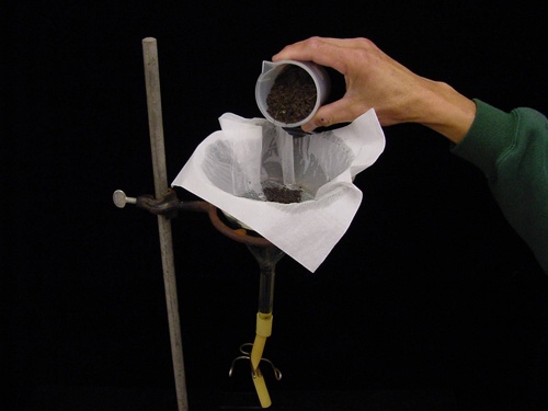 Нематоды-экстремалы из озера Моно: искупаться в мышьяке и выжить - 5 Нематоды-экстремалы из озера Моно: искупаться в мышьяке и выжить - 5