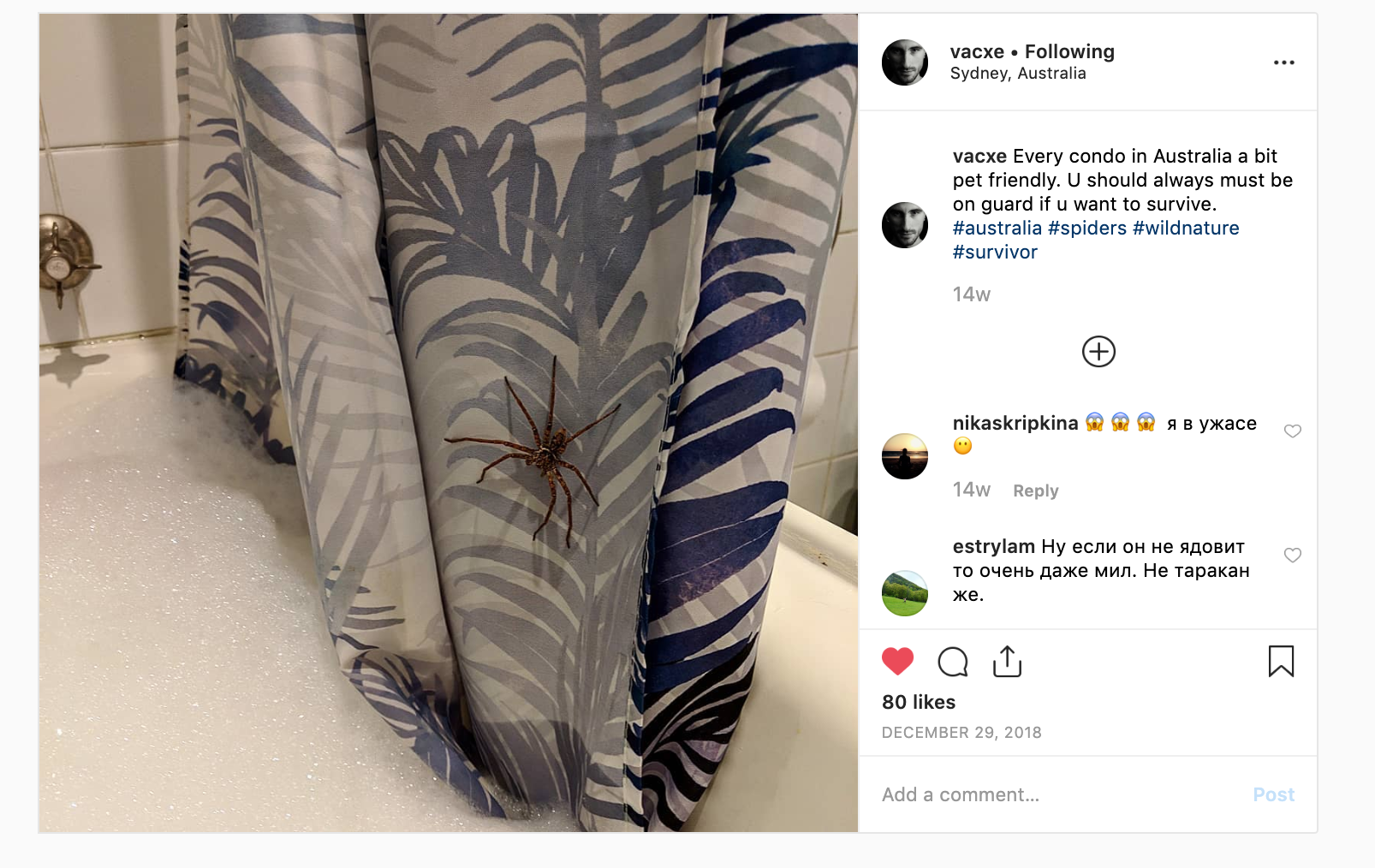 Переезд: подготовка, выбор, освоение территории - 14 Переезд: подготовка, выбор, освоение территории - 14