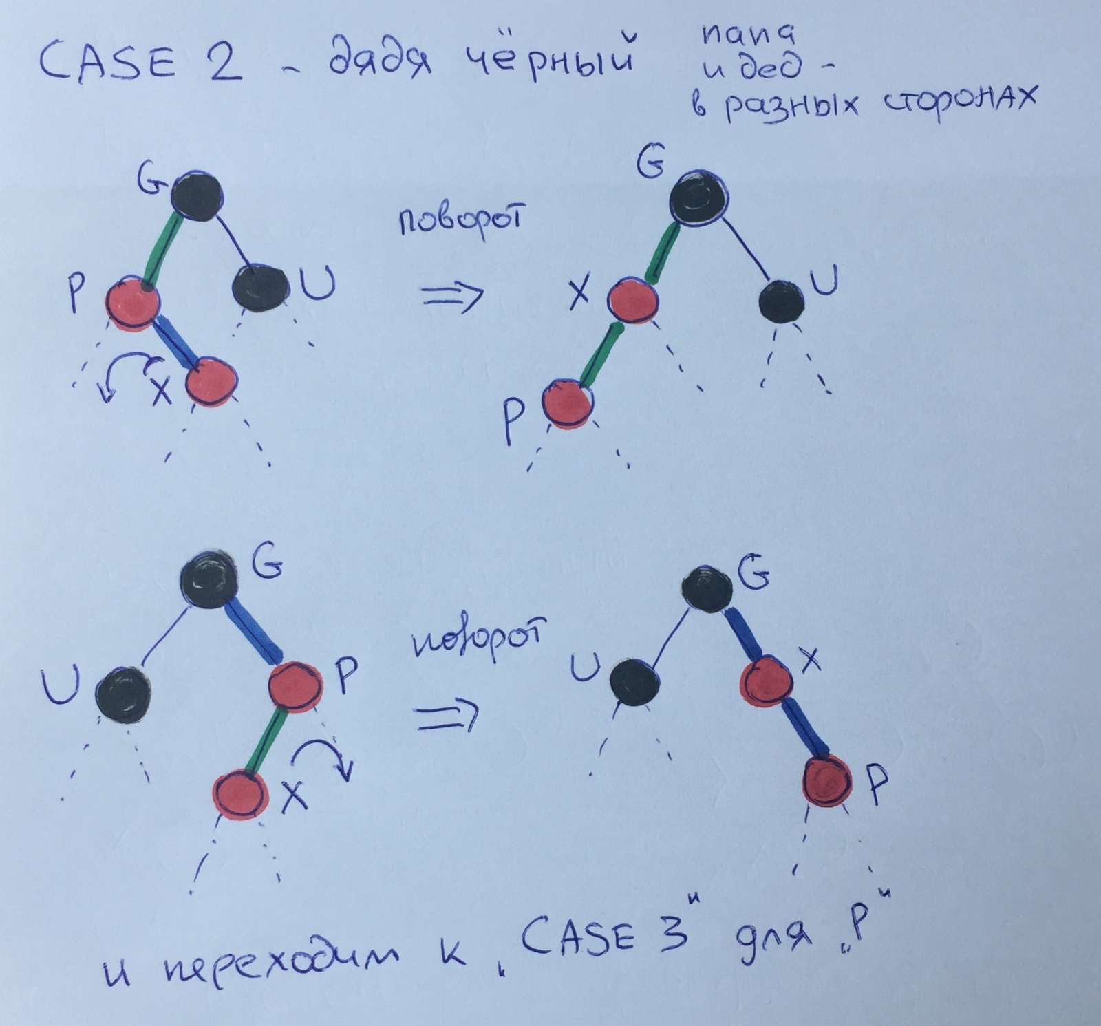Балансировка красно-чёрных деревьев — Три случая - 5