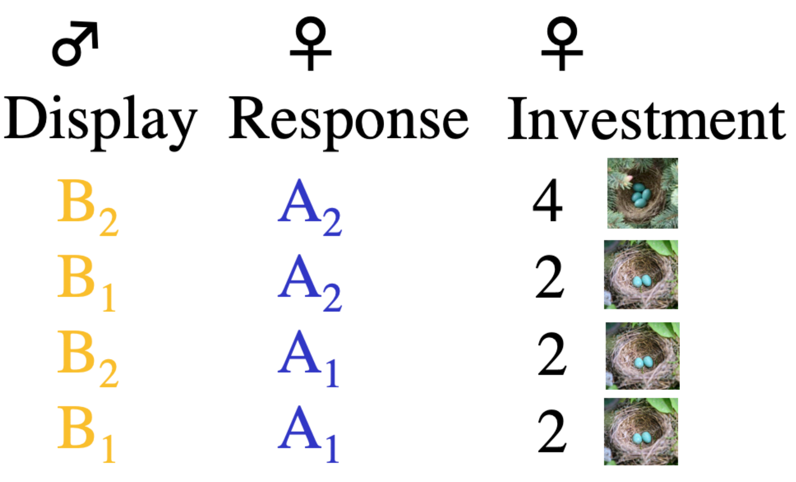 Генетика любви: межполовой конфликт как основа сотрудничества в парах моногамных птиц - 6 Генетика любви: межполовой конфликт как основа сотрудничества в парах моногамных птиц - 6