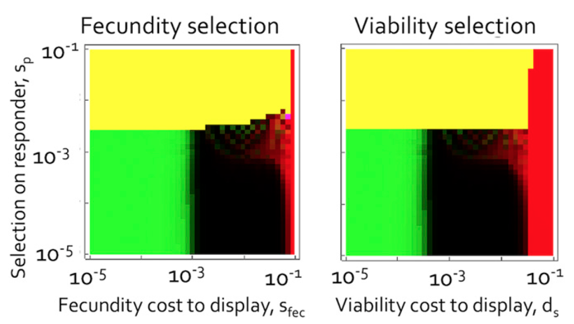 Генетика любви: межполовой конфликт как основа сотрудничества в парах моногамных птиц - 8 Генетика любви: межполовой конфликт как основа сотрудничества в парах моногамных птиц - 8