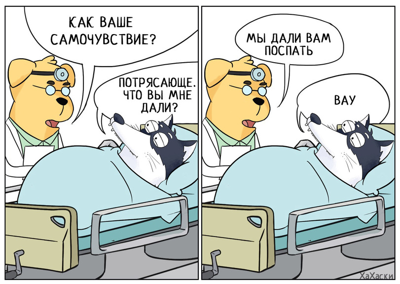 Как перепрограммировать режим сна: 30 дней каждое утро я светил ярким зеленым светом себе в глаза - 3 image