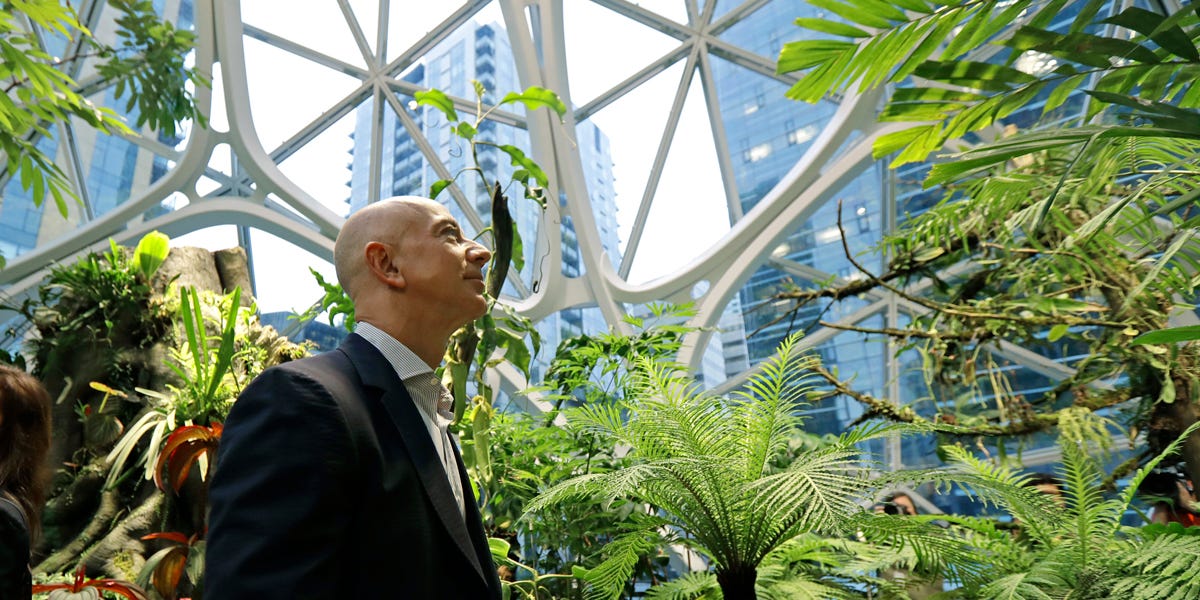 Секрет счастья сотрудника – природа в офисе? - 2 Секрет счастья сотрудника – природа в офисе? - 2