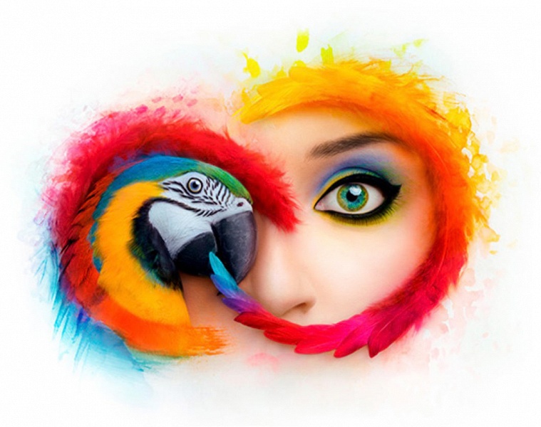 Adobe допустила утечку сведений об учетных записях почти 7,5 млн пользователей Creative Cloud - 1 Adobe допустила утечку сведений об учетных записях почти 7,5 млн пользователей Creative Cloud