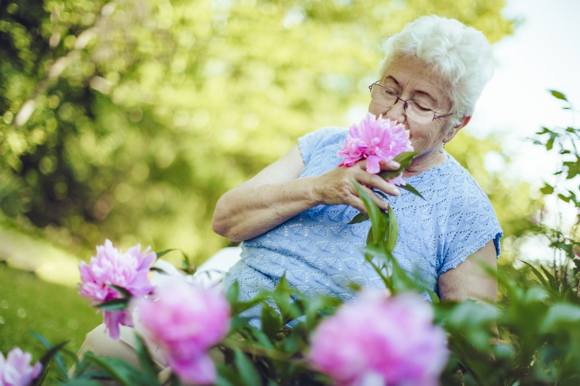 Исследователи Google научили нейросеть распознавать запахи по молекулярной структуре - 1 Исследователи Google научили нейросеть распознавать запахи по молекулярной структуре - 1