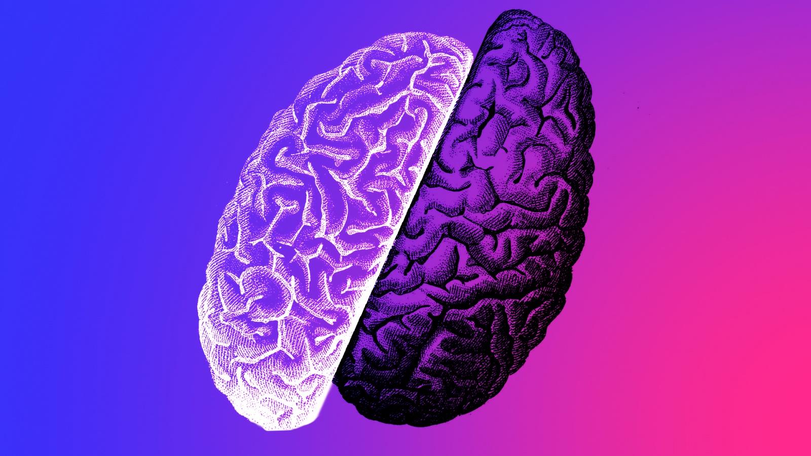 Бро vs. не бро - 1