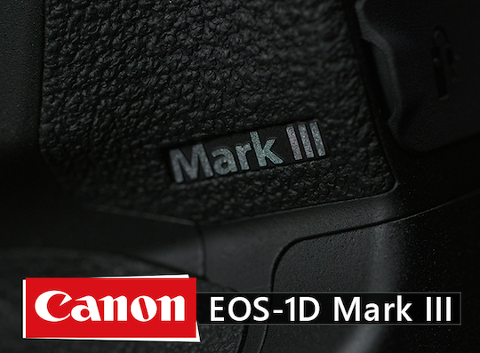 Стали известны многие спецификации зеркальной фотокамеры Canon EOS 1D X Mark III - 1 Стали известны многие спецификации зеркальной фотокамеры Canon EOS 1D X Mark III