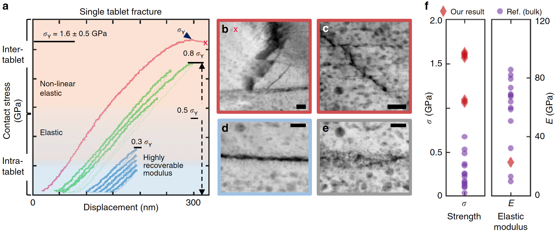 Проверка на прочность: наномеханика перламутра раковин благородной пинны - 9 Проверка на прочность: наномеханика перламутра раковин благородной пинны - 9