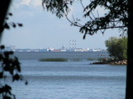 Хранение фотографий на DVD-дисках в 2K19-м (в 2190-м? в 2238-м?) - 13 Хранение фотографий на DVD-дисках в 2K19-м (в 2190-м? в 2238-м?) - 13