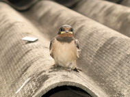 Хранение фотографий на DVD-дисках в 2K19-м (в 2190-м? в 2238-м?) - 25 Хранение фотографий на DVD-дисках в 2K19-м (в 2190-м? в 2238-м?) - 25