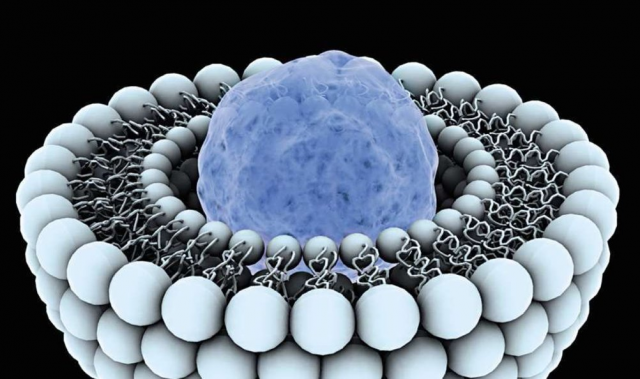 Учеными обнаружен новый фактор эффективной доставки лекарств в опухоли - 2 image-1