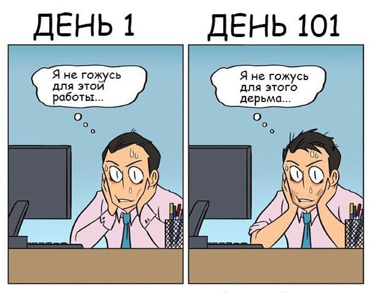 Работа не волк, часть 2. Пройти босса и выжить на испытательном сроке - 1