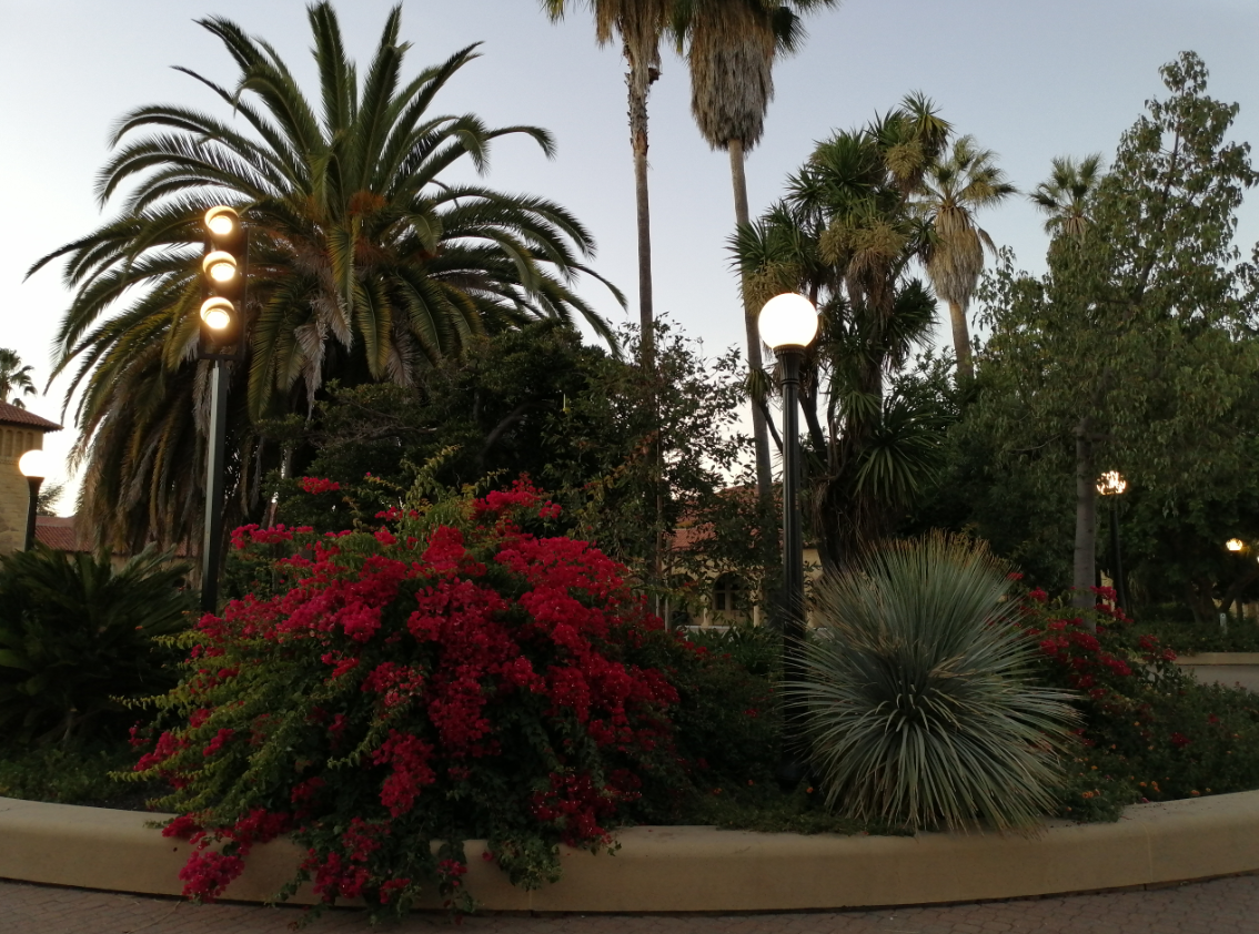 Стэнфордский университет — посещение и обзор - 9