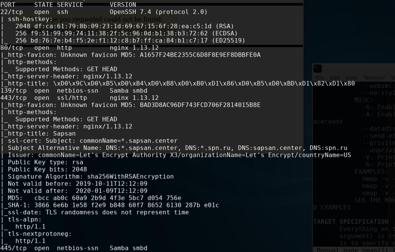 Самый беззащитный — это Сапсан - 9 image