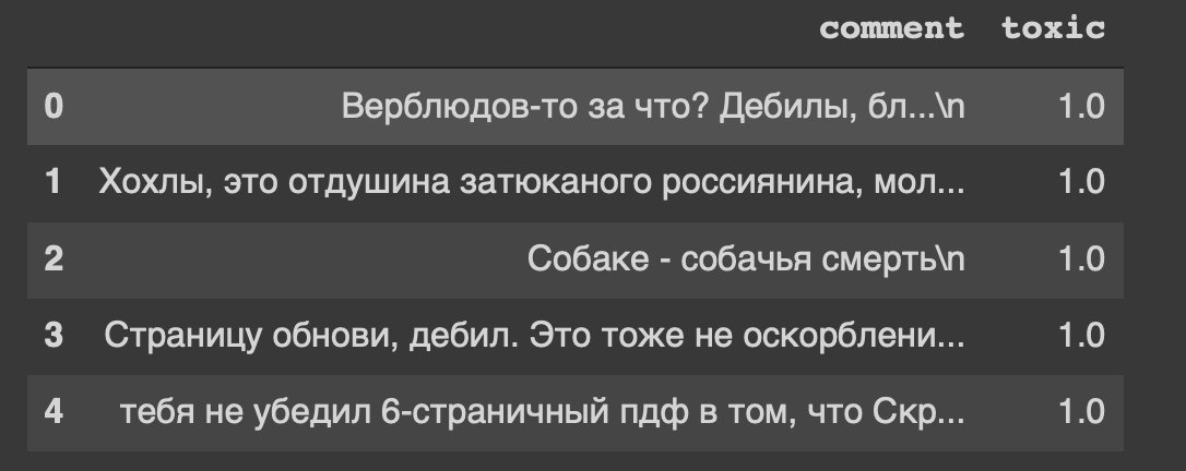 Нейросеть для определения хейтеров — «не, ну это бан» - 1 Нейросеть для определения хейтеров — «не, ну это бан» - 1