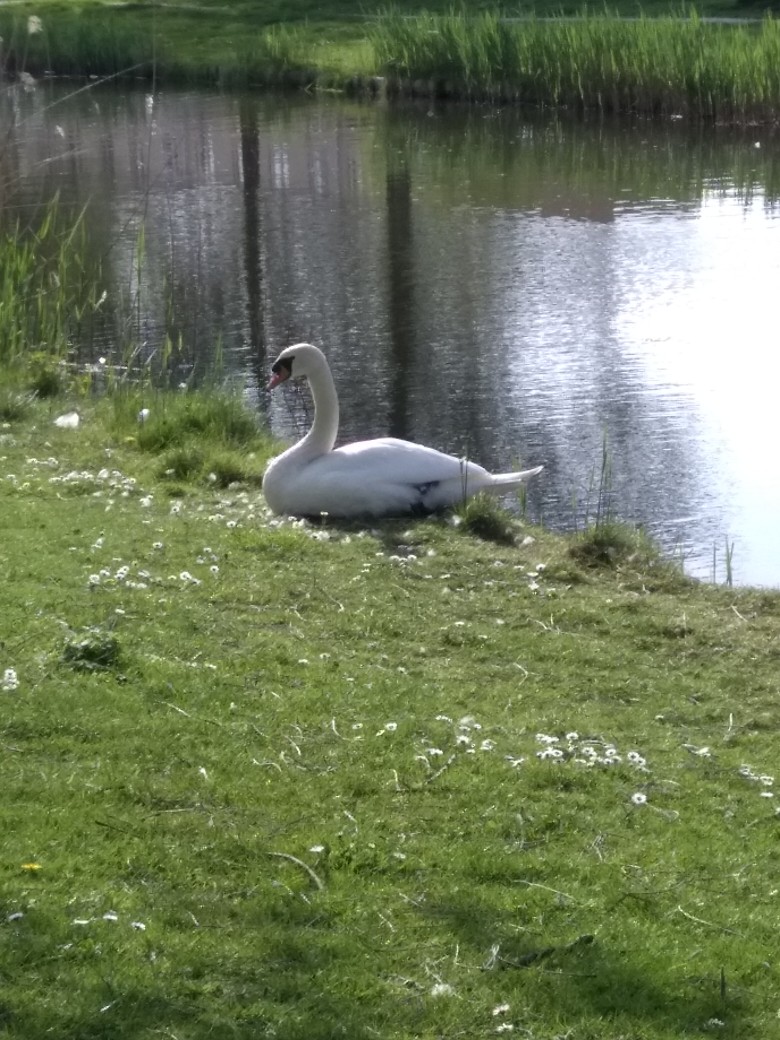 Как программисту переехать в Нидерланды - 15 Как программисту переехать в Нидерланды - 15