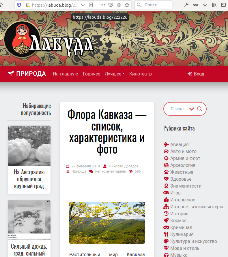 Частное мнение о Яндекс.Турбо - 8