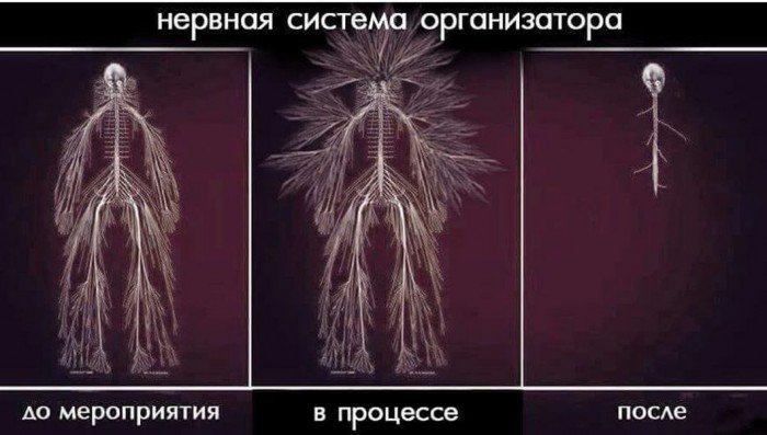 Нельзя просто так взять и сделать все идеально: что осталось за кулисами рекорда Гиннесса - 1