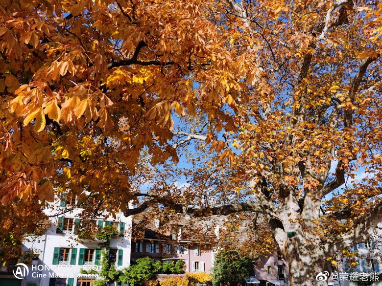 Honor продемонстрировал мощь камеры своего лучшего смартфона - 3 Honor продемонстрировал мощь камеры своего лучшего смартфона