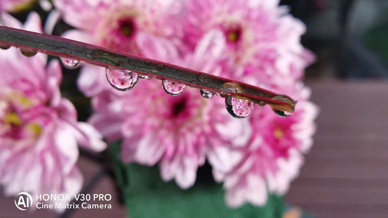 Honor продемонстрировал мощь камеры своего лучшего смартфона - 6 Honor продемонстрировал мощь камеры своего лучшего смартфона