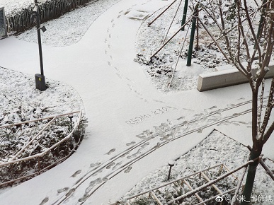 Redmi показала, как снимает её новый флагман за две недели до анонса - 5 Redmi показала, как снимает её новый флагман за две недели до анонса