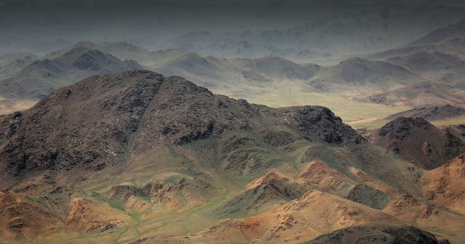 Они почти незаметны, но их миллиарды: главные строители Земли Они почти незаметны, но их миллиарды: главные строители Земли