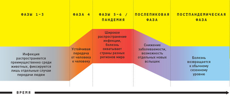 Пандемия: какая болезнь уничтожит полчеловечества