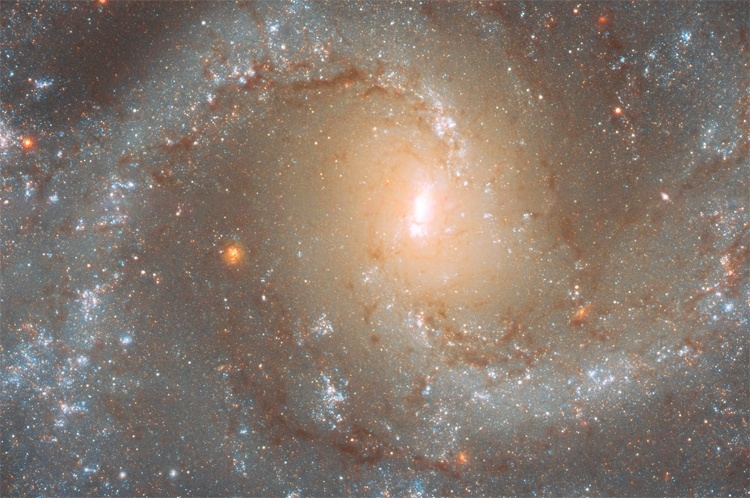 Фото дня: обитель сверхновых звёзд