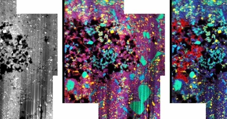 Внутри древнего метеорита обнаружили «ископаемый» лед Внутри древнего метеорита обнаружили «ископаемый» лед