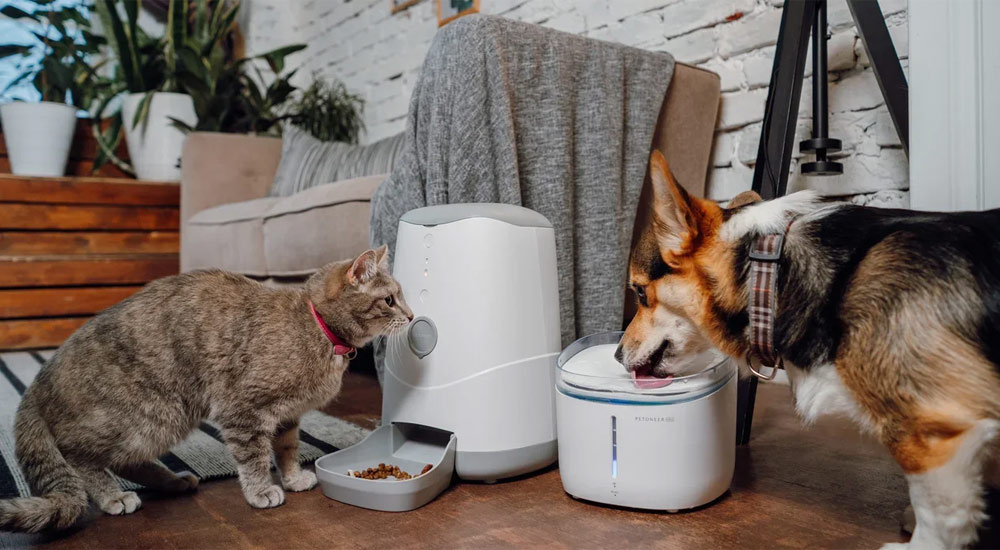 Кота и пса накормит робот - 1