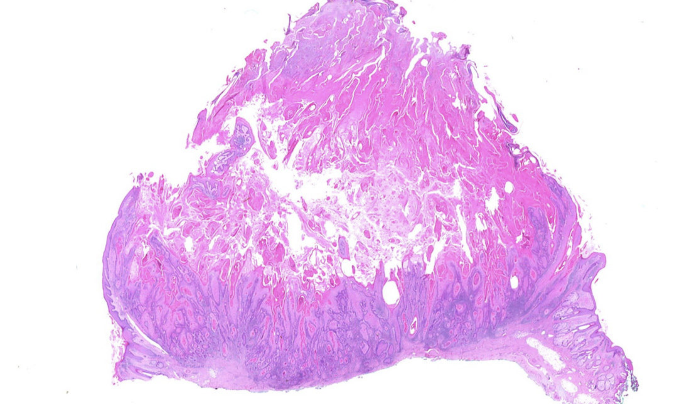Дайджест новостей машинного обучения и искусственного интеллекта за ноябрь - 2 image