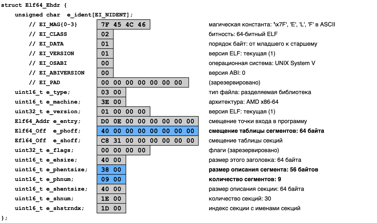 заголовок ELF